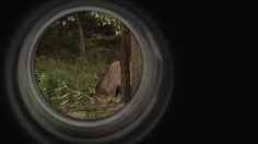 poster-21001-richmond-optometry-optical-products-buck-236x132