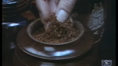 poster-2103-senior-service-extra-une-cigarette-sur-mesure-236x132