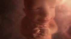 poster-21144-protection-sante-cancer-research-birth-ensemble-pour-la-vie-236x132