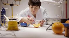 poster-21148-tropicana-energie-naturelle-236x132