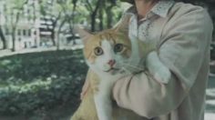 poster-21154-lakerol-dents-a-reason-to-smile-236x132