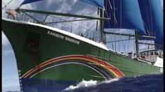 poster-21179-greenpeace-protection-environnement-a-new-warrior-236x132