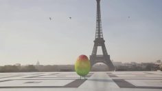 poster-21269-oasis-mais-ou-est-donc-mangue-debol-236x132