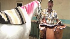 poster-21283-zynga-gagaville-236x132