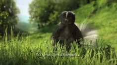 poster-21347-sequoia-skunk-236x132