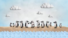 poster-21389-toronto-zoo-rock-paper-scissors-236x132