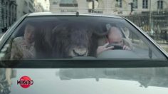 poster-21445-mikado-encheres-236x132