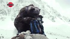 poster-21446-mikado-trek-236x132