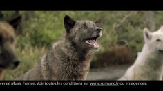 poster-21452-societe-generale-so-music-loups-236x132