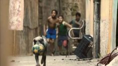 poster-21453-ea-sports-fifa-12-everything-about-a-match-236x132