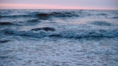 poster-21457-levi-s-go-forth-236x132