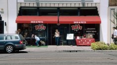 poster-21463-harley-davidson-liberation-236x132