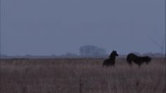 poster-21501-equidia-le-documentaire-236x132