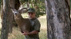 poster-21516-ojai-valley-taxidermy-nope-chuck-testa-236x132