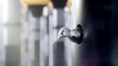 poster-21547-audi-a6-avant-hummingbird-236x132