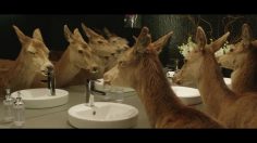 poster-21558-tooheys-extra-dry-nocturnal-migration-236x132