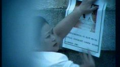 poster-21599-sina-com-hidden-dog-236x132