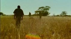 poster-21617-decathlon-kalenji-the-bush-236x132