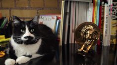 poster-21686-john-st-catvertising-236x132