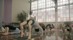 poster-21701-love-life-port-preservatif-anti-mst-pizza-236x132