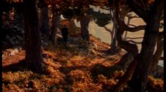 poster-2173-france-telecom-le-soleil-236x132