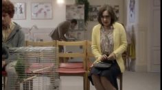 poster-21733-comix-veterinarian-236x132