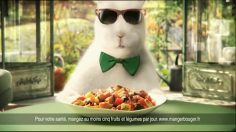 poster-21753-cassegrain-le-retour-du-lapin-236x132