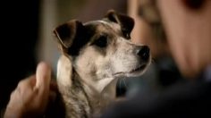 poster-21762-credit-mutuel-nrj-mobile-reductions-pour-la-famille-236x132