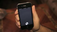 poster-21793-reporters-sans-frontieres-rsf-siri-vs-syrie-236x132