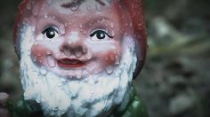 poster-21816-toom-baumarkt-the-gnome-protest-236x132