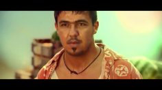 poster-21834-berroca-boost-donkey-236x132