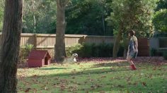 poster-21856-stihl-inside-outside-236x132