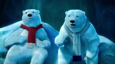 poster-21924-coca-cola-catch-236x132