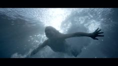 poster-21994-pinnacle-vodka-paper-or-plastic-236x132