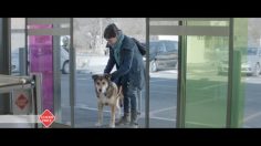 poster-22017-leader-price-nouveau-design-236x132