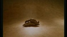 poster-2204-zoopoo-fertilizer-lion-236x132