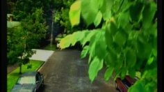 poster-2207-viagra-we-are-the-champions-236x132