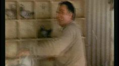 poster-2211-lotto-fan-de-pigeons-236x132