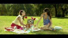 poster-22118-canderel-100-sucralose-sweet-fighting-236x132