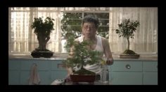 poster-22142-premier-insect-repellent-ball-236x132