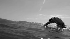 poster-22153-giorgio-armani-acqua-di-gio-apollon-entre-ciel-et-mer-236x132