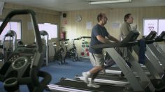 poster-22156-eiffage-la-course-du-viaduc-de-millau-la-fourmi-236x132