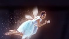 poster-22177-ameristar-fairy-s-wish-fairy-s-wish-236x132