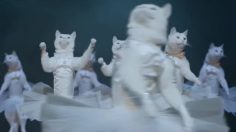 poster-22178-ameristar-swan-lake-swan-lake-236x132