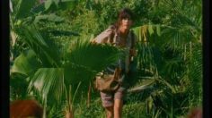 poster-2220-rexona-pro-balance-dialogue-de-singes-236x132