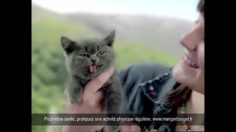 poster-22216-n-a-crispy-fruit-chaton-236x132