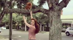 poster-22221-tui-beer-half-time-distractions-236x132