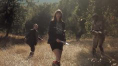 poster-22244-peta-lion-pitch-236x132