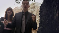 poster-22248-peta-bear-pitch-236x132