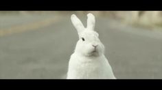 poster-22272-ken-s-salad-dressing-heist-236x132